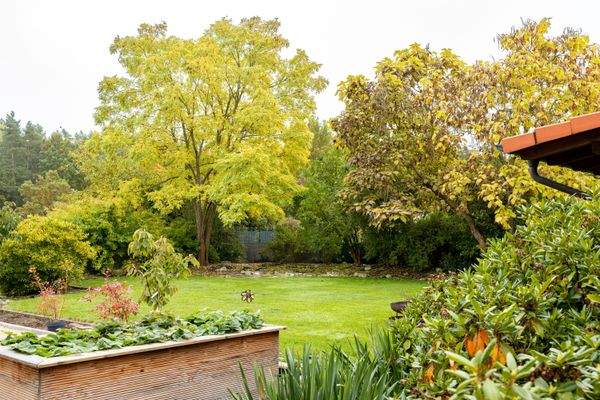 Garten hinter dem Haus