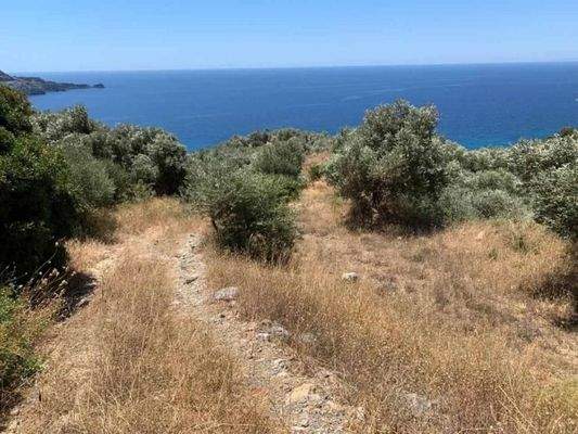 Kreta, Sellia: Erstklassiges Grundstück mit Meerblick in der Nähe von Plakias zu verkaufen