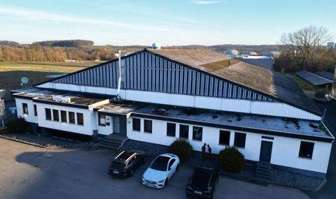 Horn-Bad Meinberg Halle, Horn-Bad Meinberg Hallenfläche