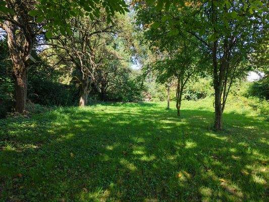 WhatsApp Image 2025-09-01 at 13.13.56(5).jpeg