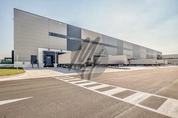 INFOS UNTER: 06171-586000