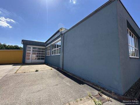 Allersberg Halle, Allersberg Hallenfläche