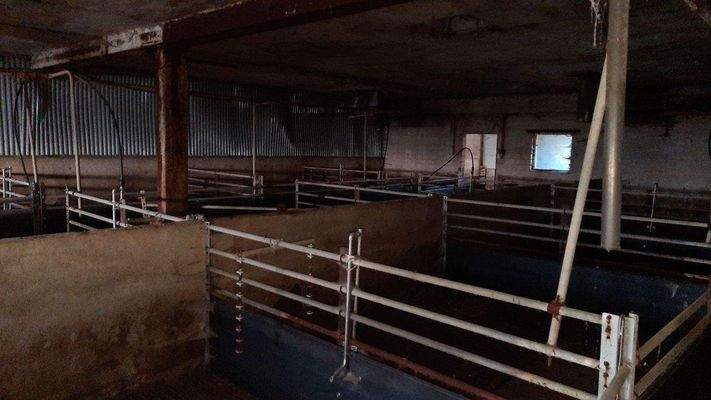 Bild 11 - Stallanlage (Gebäude 4) innen