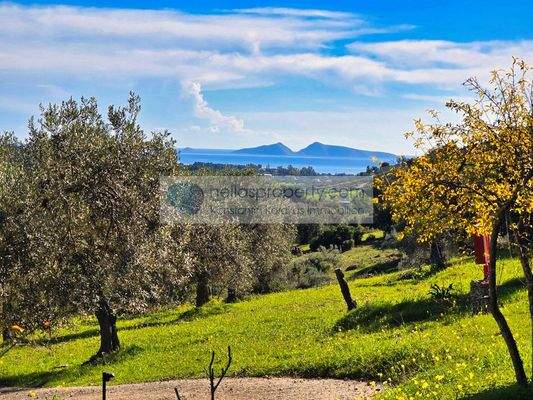 9bbced6fa575440ab1ace7d36bbaaa7b-original