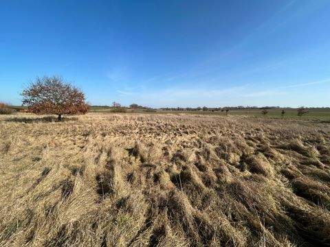  Grundstücke,  Grundstück kaufen