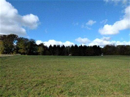 Ideal für Natur- und Tierliebhaber