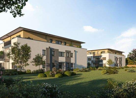 WAW Rieden-Zellerberg Visu2.jpg