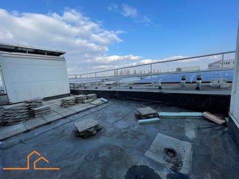 Wiener Neudorf Halle, Wiener Neudorf Hallenfläche