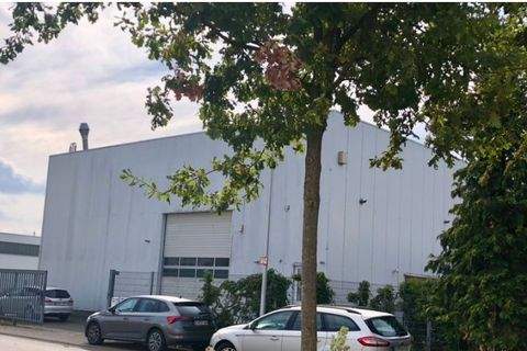 Bocholt Halle, Bocholt Hallenfläche