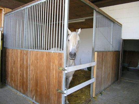 Archivbild Pferdebox