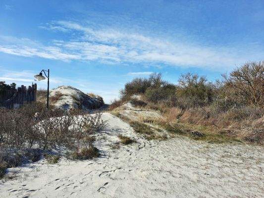 gg-1761-zugang-zum-deich