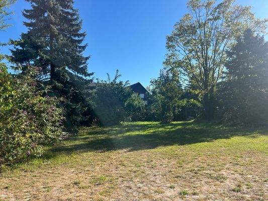 Groß (IMG_7660).jpeg