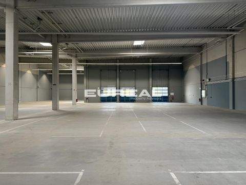 Mülheim an der Ruhr Halle, Mülheim an der Ruhr Hallenfläche