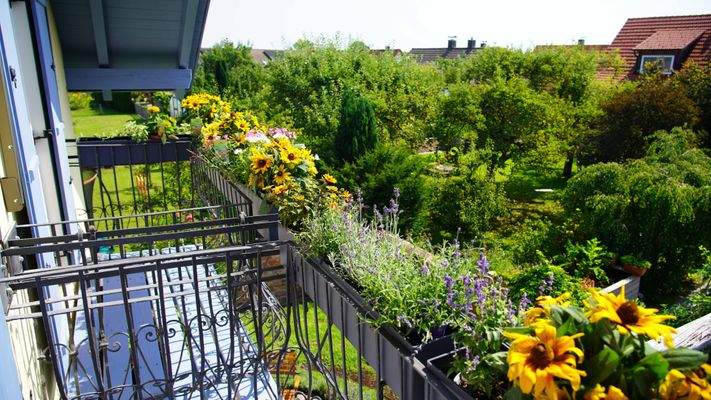 Balkon Sommer