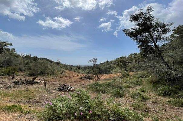 258_10_Es Carritxo_Finca_Blick