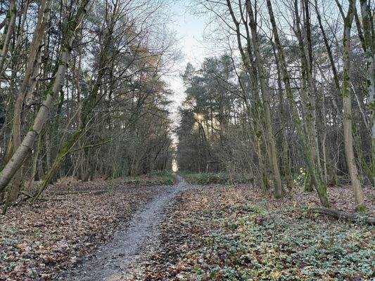 Direkt hinter dem Grundstück