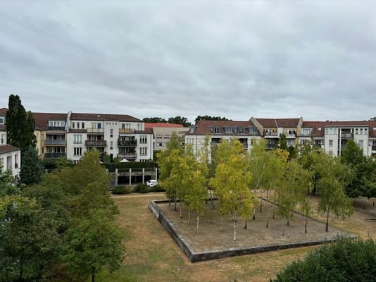 Aussicht vom Balkon