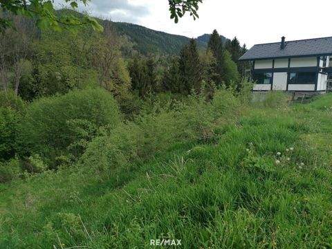 Steinhaus am Semmering Grundstücke, Steinhaus am Semmering Grundstück kaufen