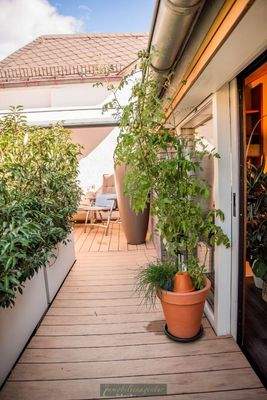 DG - Dachterrrasse seitlicher Blick