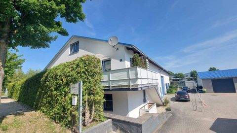 Siegenburg Halle, Siegenburg Hallenfläche