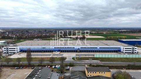 Dormagen Halle, Dormagen Hallenfläche