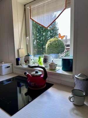 IMG_3653.jpeg