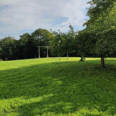 Wiese hinter den Häusern B1 