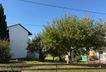 IMG_3991.jpeg