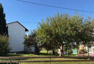 IMG_3991.jpeg