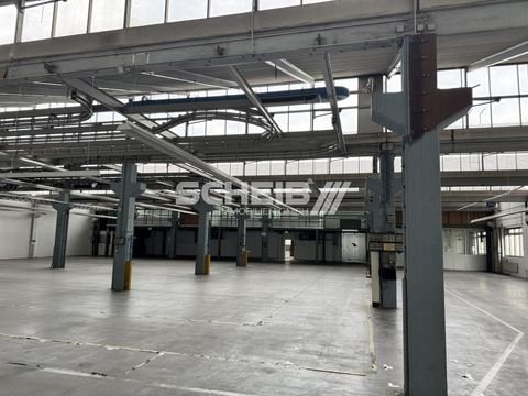 Oberrot Halle, Oberrot Hallenfläche
