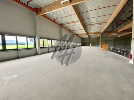 INFOS UNTER: 06171-586000