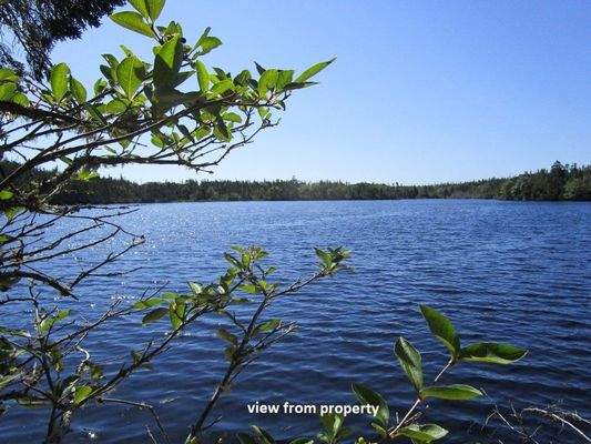 Am Seeufer - Blick vom Grundstück