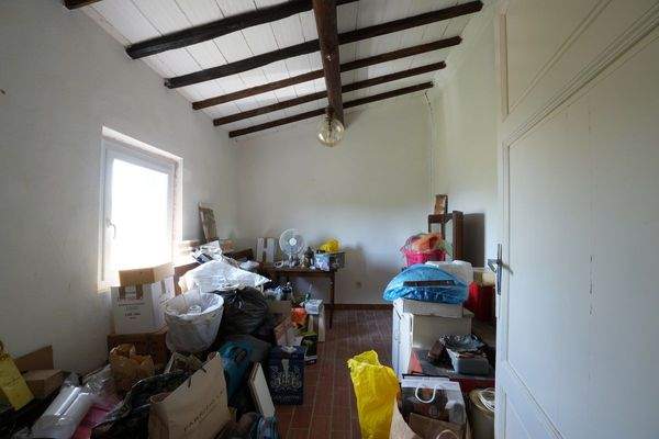 DSC01703 (Kopie).JPG