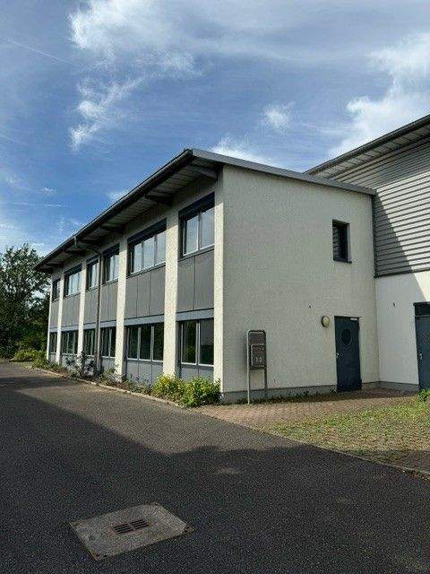 Schweinfurt Halle, Schweinfurt Hallenfläche