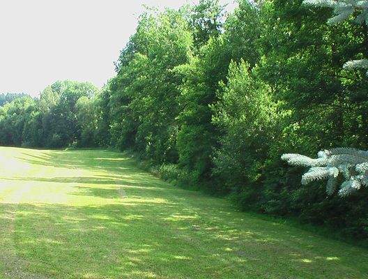 4b. Blick von der überdachten Frühstücksloggia in die Natur.JPG