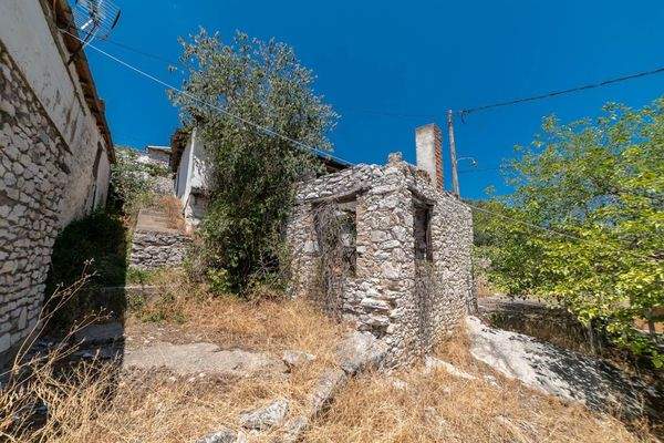 Papatsiaras-Theologos-Kekes 24-07-2024-4.jpg