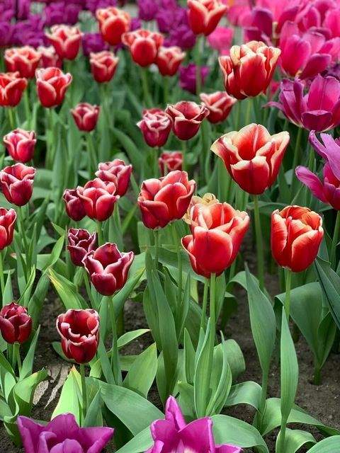 Schöllnach Grundstücke, Schöllnach Grundstück kaufen