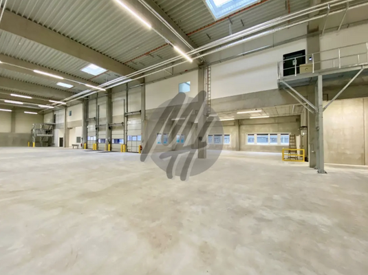 INFOS UNTER: 06171-586000