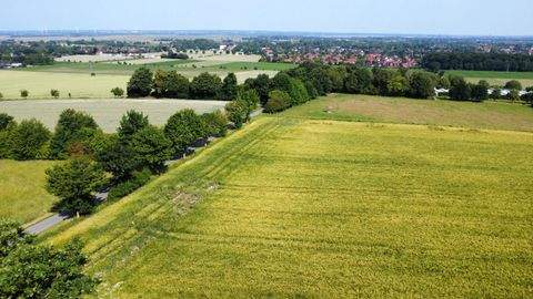 Lemförde Bauernhöfe, Landwirtschaft, Lemförde Forstwirtschaft