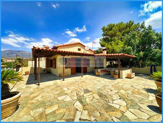 7f2ffa5bd6cd4b4fb6401dcff2669292-original