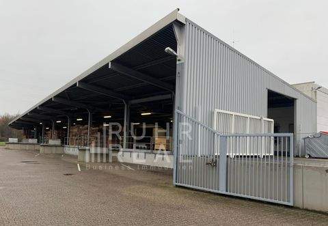 Lünen Halle, Lünen Hallenfläche