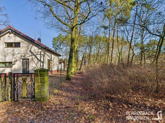 Blick zur linke Grundstücksgrenze