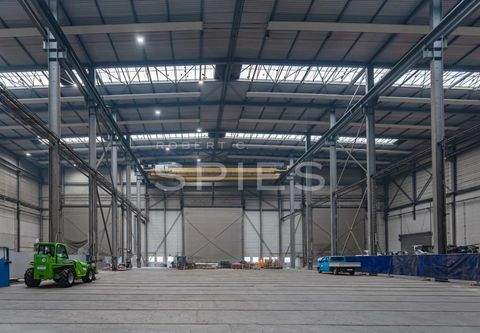 Bremen Halle, Bremen Hallenfläche