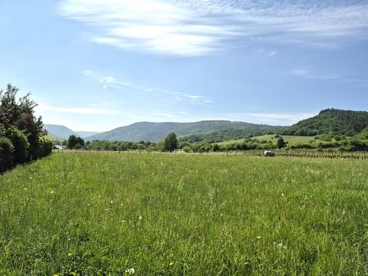 Blick in die Umgebung Richtung Traben-Trarbach vom Nachbargrundstück