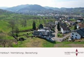 DJI_0667.jpg