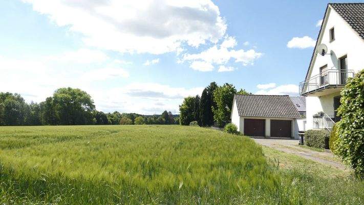 Blick zur grünen Umgebung