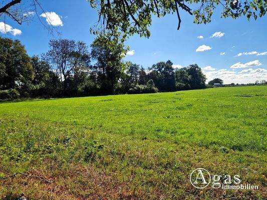 Grundstück Ansicht 1