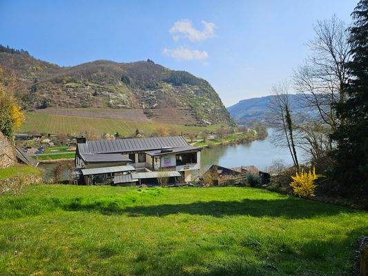 Ausblick vom Grundstück