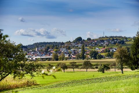 Lottstetten Wohnungen, Lottstetten Wohnung mieten