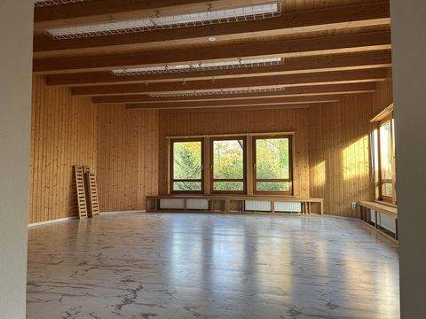 Peine Halle, Peine Hallenfläche